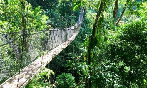 Rainmaker-Park-Costa-Rica-73-750x563